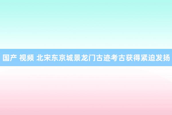 国产 视频 北宋东京城景龙门古迹考古获得紧迫发扬