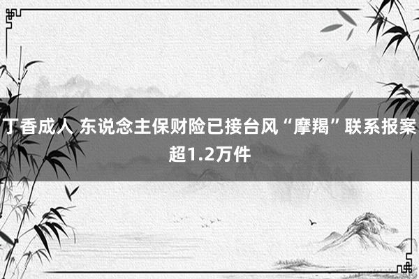 丁香成人 东说念主保财险已接台风“摩羯”联系报案超1.2万件