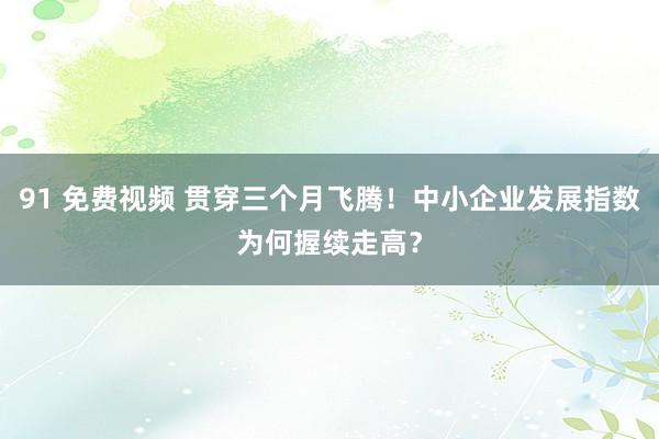 91 免费视频 贯穿三个月飞腾！中小企业发展指数为何握续走高？