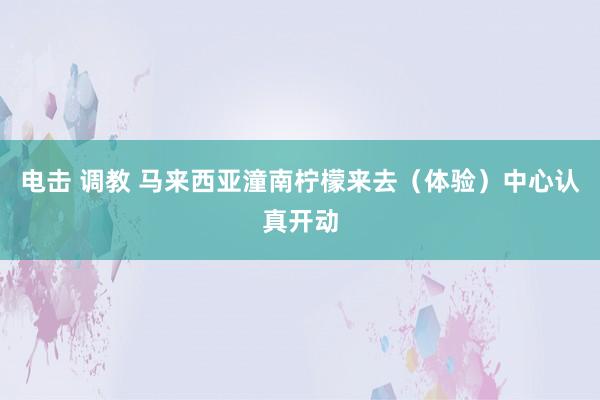 电击 调教 马来西亚潼南柠檬来去（体验）中心认真开动