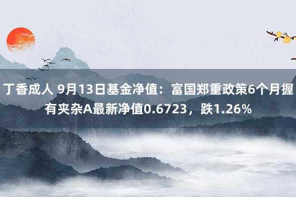 丁香成人 9月13日基金净值：富国郑重政策6个月握有夹杂A最新净值0.6723，跌1.26%