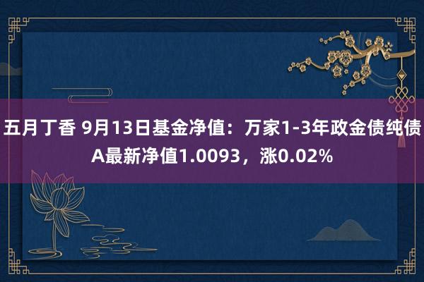 五月丁香 9月13日基金净值：万家1-3年政金债纯债A最新净值1.0093，涨0.02%