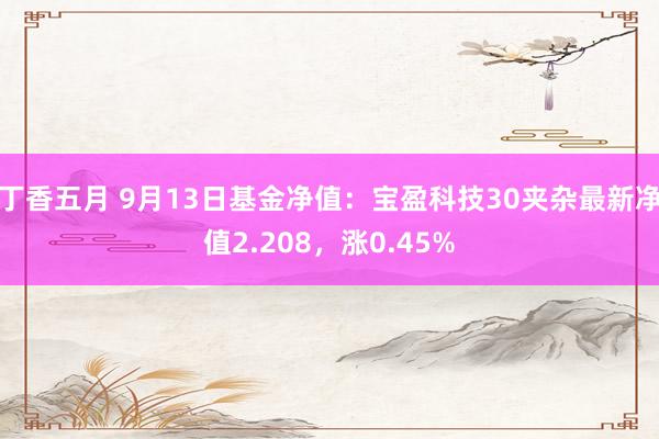 丁香五月 9月13日基金净值：宝盈科技30夹杂最新净值2.208，涨0.45%