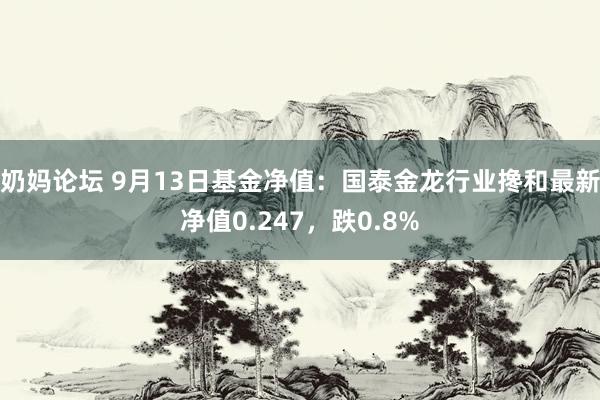 奶妈论坛 9月13日基金净值：国泰金龙行业搀和最新净值0.247，跌0.8%