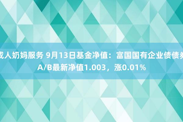 成人奶妈服务 9月13日基金净值：富国国有企业债债券A/B最新净值1.003，涨0.01%