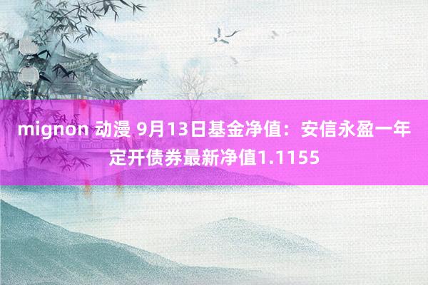 mignon 动漫 9月13日基金净值：安信永盈一年定开债券最新净值1.1155