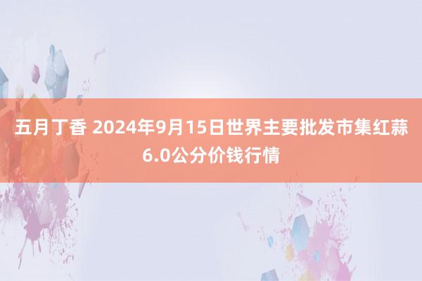 五月丁香 2024年9月15日世界主要批发市集红蒜6.0公分价钱行情