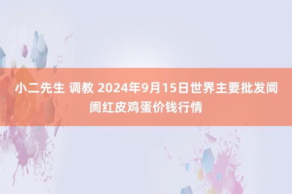 小二先生 调教 2024年9月15日世界主要批发阛阓红皮鸡蛋价钱行情