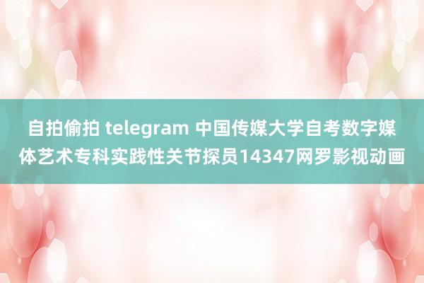 自拍偷拍 telegram 中国传媒大学自考数字媒体艺术专科实践性关节探员14347网罗影视动画