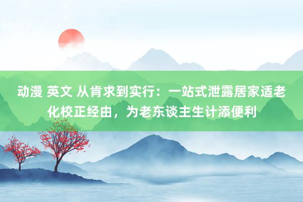 动漫 英文 从肯求到实行：一站式泄露居家适老化校正经由，为老东谈主生计添便利