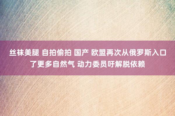 丝袜美腿 自拍偷拍 国产 欧盟再次从俄罗斯入口了更多自然气 动力委员吁解脱依赖