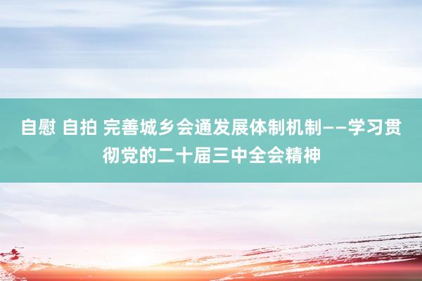 自慰 自拍 完善城乡会通发展体制机制——学习贯彻党的二十届三中全会精神