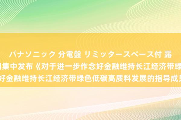 パナソニック 分電盤 リミッタースペース付 露出・半埋込両用形 八部门集中发布《对于进一步作念好金融维持长江经济带绿色低碳高质料发展的指导成见》