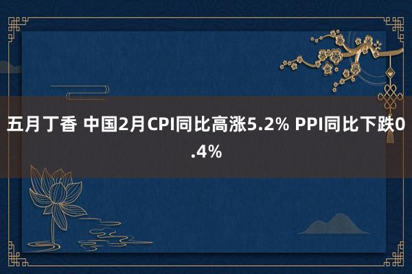 五月丁香 中国2月CPI同比高涨5.2% PPI同比下跌0.4%