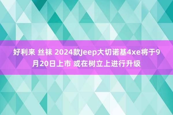 好利来 丝袜 2024款Jeep大切诺基4xe将于9月20日上市 或在树立上进行升级