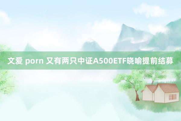 文爱 porn 又有两只中证A500ETF晓喻提前结募