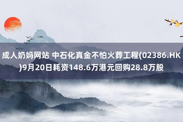 成人奶妈网站 中石化真金不怕火葬工程(02386.HK)9月20日耗资148.6万港元回购28.8万股