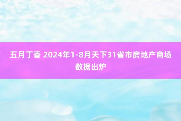 五月丁香 2024年1-8月天下31省市房地产商场数据出炉