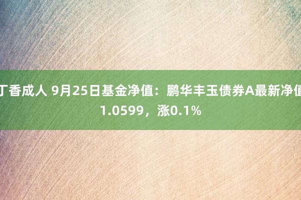 丁香成人 9月25日基金净值：鹏华丰玉债券A最新净值1.0599，涨0.1%