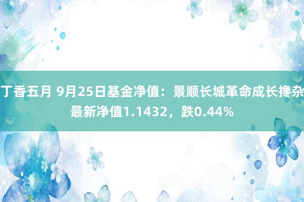 丁香五月 9月25日基金净值：景顺长城革命成长搀杂最新净值1.1432，跌0.44%