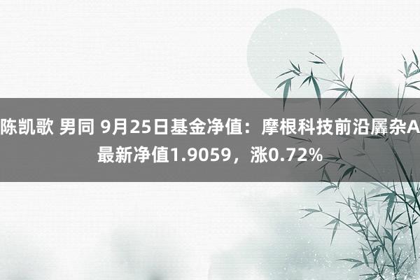 陈凯歌 男同 9月25日基金净值：摩根科技前沿羼杂A最新净值1.9059，涨0.72%