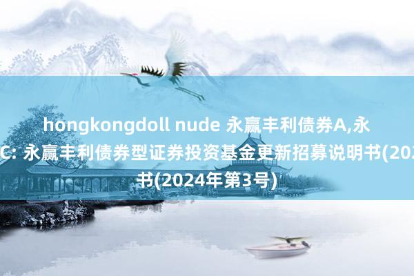 hongkongdoll nude 永赢丰利债券A，永赢丰利债券C: 永赢丰利债券型证券投资基金更新招募说明书(2024年第3号)