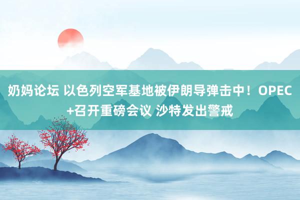 奶妈论坛 以色列空军基地被伊朗导弹击中！OPEC+召开重磅会议 沙特发出警戒