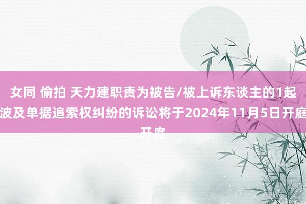 女同 偷拍 天力建职责为被告/被上诉东谈主的1起波及单据追索权纠纷的诉讼将于2024年11月5日开庭