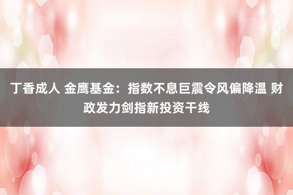 丁香成人 金鹰基金：指数不息巨震令风偏降温 财政发力剑指新投资干线