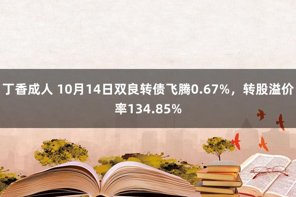 丁香成人 10月14日双良转债飞腾0.67%，转股溢价率134.85%