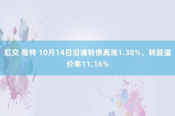 肛交 推特 10月14日沿浦转债高涨1.38%，转股溢价率11.16%