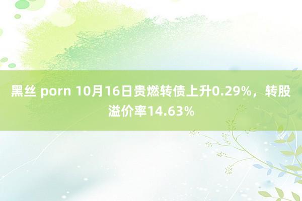 黑丝 porn 10月16日贵燃转债上升0.29%，转股溢价率14.63%