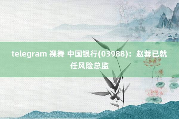 telegram 裸舞 中国银行(03988)：赵蓉已就任风险总监