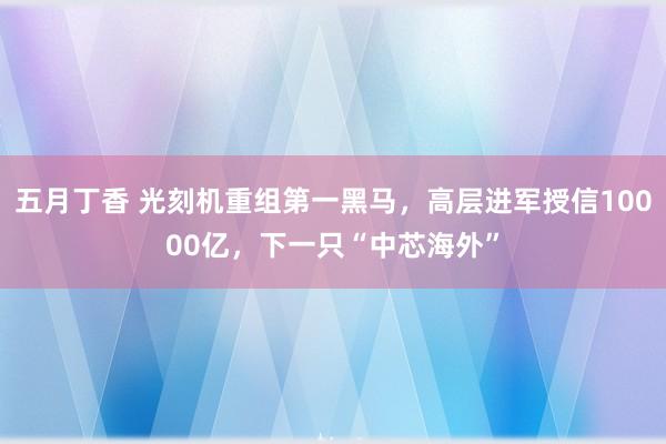 五月丁香 光刻机重组第一黑马，高层进军授信10000亿，下一只“中芯海外”