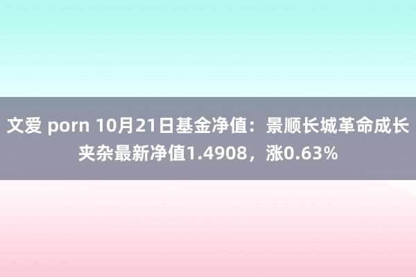 文爱 porn 10月21日基金净值：景顺长城革命成长夹杂最新净值1.4908，涨0.63%