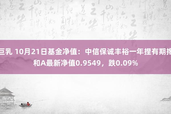 巨乳 10月21日基金净值：中信保诚丰裕一年捏有期搀和A最新净值0.9549，跌0.09%