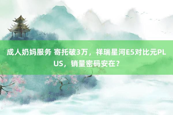 成人奶妈服务 寄托破3万，祥瑞星河E5对比元PLUS，销量密码安在？