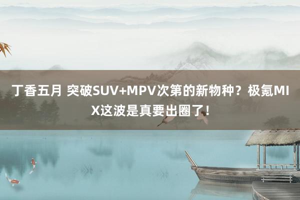 丁香五月 突破SUV+MPV次第的新物种？极氪MIX这波是真要出圈了！