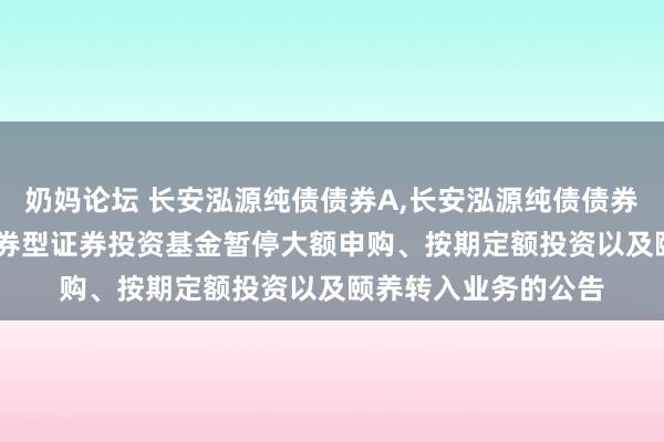 奶妈论坛 长安泓源纯债债券A，长安泓源纯债债券C: 长安泓源纯债债券型证券投资基金暂停大额申购、按期定额投资以及颐养转入业务的公告