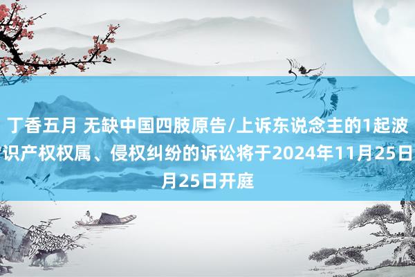 丁香五月 无缺中国四肢原告/上诉东说念主的1起波及常识产权权属、侵权纠纷的诉讼将于2024年11月25日开庭