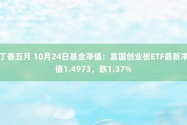 丁香五月 10月24日基金净值：富国创业板ETF最新净值1.4973，跌1.37%