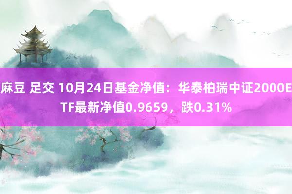 麻豆 足交 10月24日基金净值：华泰柏瑞中证2000ETF最新净值0.9659，跌0.31%