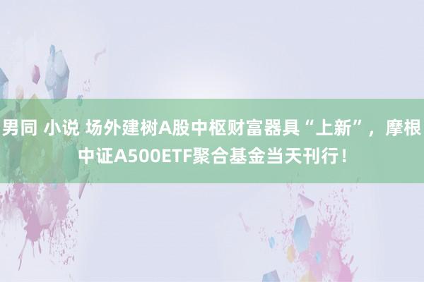 男同 小说 场外建树A股中枢财富器具“上新”，摩根中证A500ETF聚合基金当天刊行！