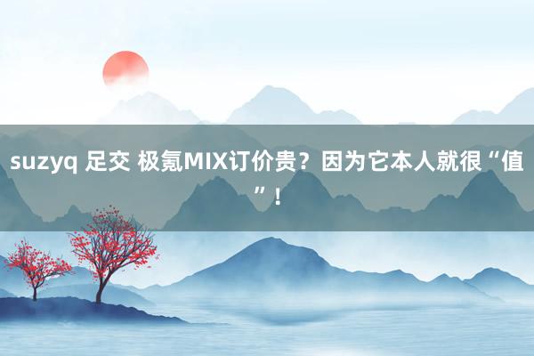 suzyq 足交 极氪MIX订价贵？因为它本人就很“值”！