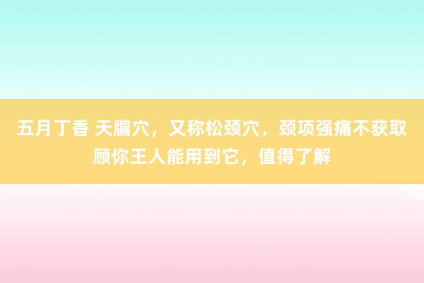 五月丁香 天牖穴，又称松颈穴，颈项强痛不获取顾你王人能用到它，值得了解