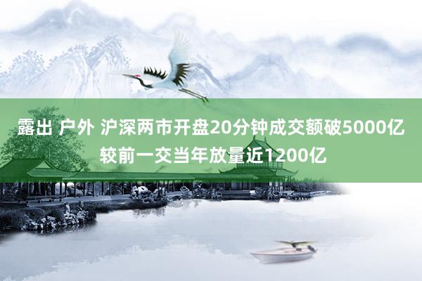 露出 户外 沪深两市开盘20分钟成交额破5000亿 较前一交当年放量近1200亿