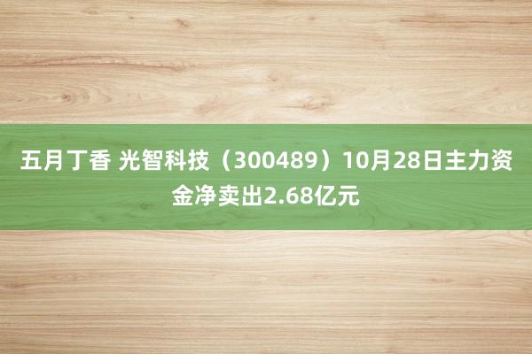 五月丁香 光智科技（300489）10月28日主力资金净卖出2.68亿元