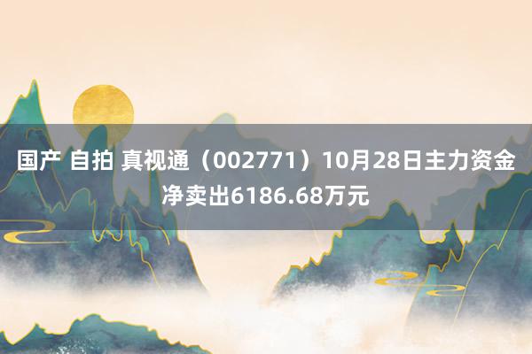 国产 自拍 真视通（002771）10月28日主力资金净卖出6186.68万元