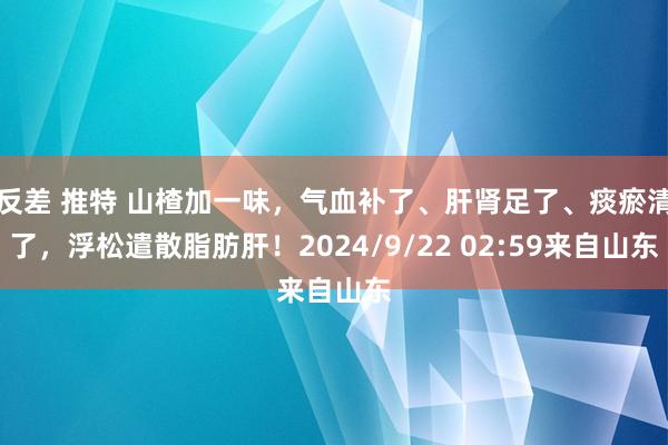 反差 推特 山楂加一味，气血补了、肝肾足了、痰瘀清了，浮松遣散脂肪肝！2024/9/22 02:59来自山东