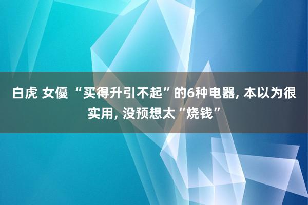 白虎 女優 “买得升引不起”的6种电器， 本以为很实用， 没预想太“烧钱”